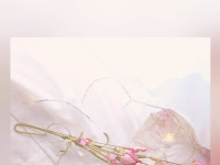 高清图片大全 唯美,高清唯美图片精选集