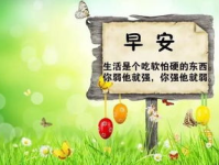 100句正能量短句,点亮生活前行之光