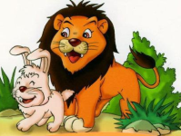 小白兔笑话段子,趣味横生的动物笑话集锦