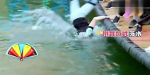 恐龙队的小姐姐,揭秘恐龙队背后的魅力女神