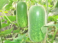 今日吃瓜热门大瓜每日更新吃瓜,娱乐圈风云再起，揭秘明星背后的惊人真相